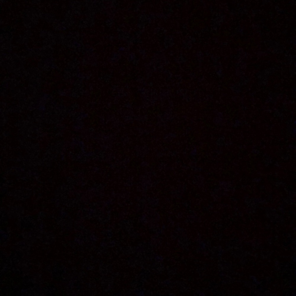 Meet your Posher, Evelyn